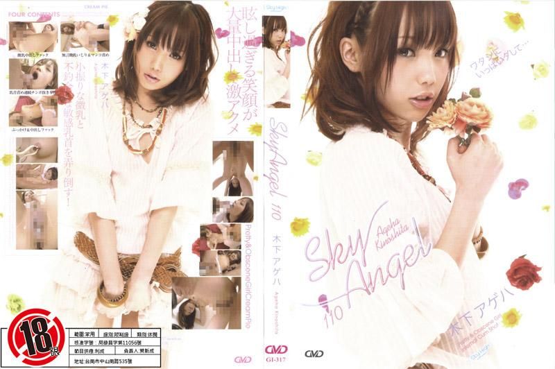 SKY ANGEL 110 GI-317